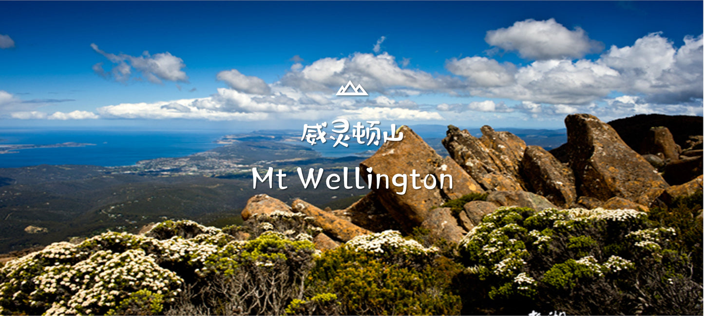 塔斯马尼亚霍巴特惠灵顿山+市区+里奇蒙古镇+最老的啤酒厂+生蚝农场一日游