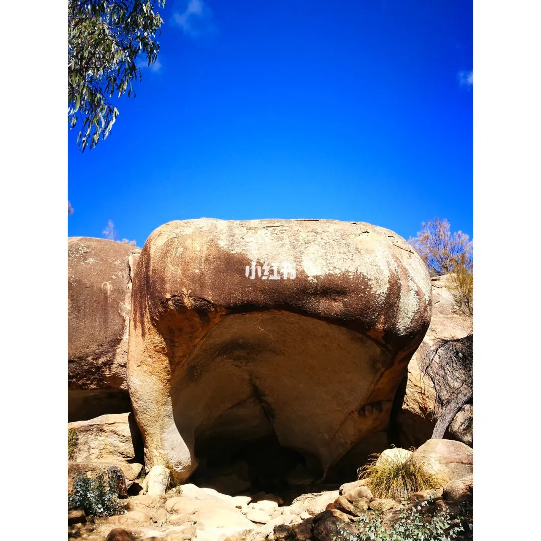 波浪岩一日游Wave Rock Day Tour(约克镇-忠犬公墓-波浪岩-河马哈欠岩-原住民的文化区洞 )