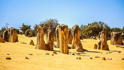尖峰石阵一日游Pinnacles Day Tour  （朗塞林沙丘-龙虾工厂-瑟文特斯叠层石-尖峰石阵）