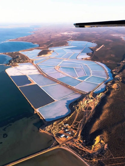 粉紅湖三日游Pink Lake 3 Days Tour（朱里恩湾+怪树+粉红湖+红崖区+尖峰石阵+白沙滑沙）