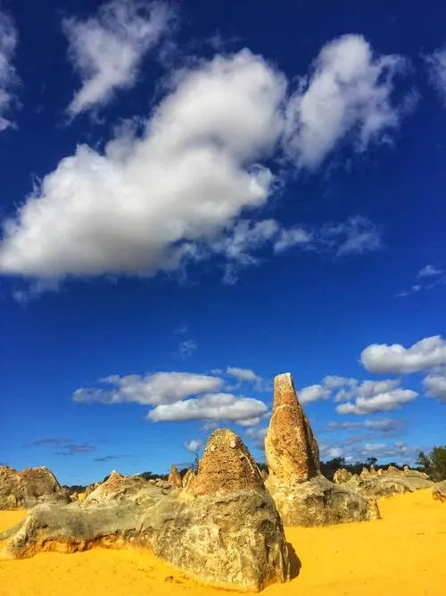 尖峰石阵一日游Pinnacles Day Tour  （朗塞林沙丘-龙虾工厂-瑟文特斯叠层石-尖峰石阵）