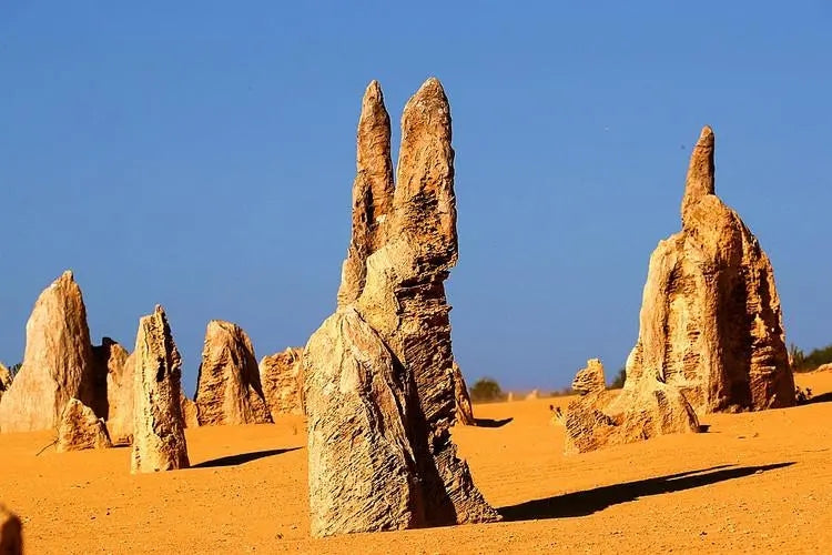 尖峰石阵一日游Pinnacles Day Tour  （朗塞林沙丘-龙虾工厂-瑟文特斯叠层石-尖峰石阵）
